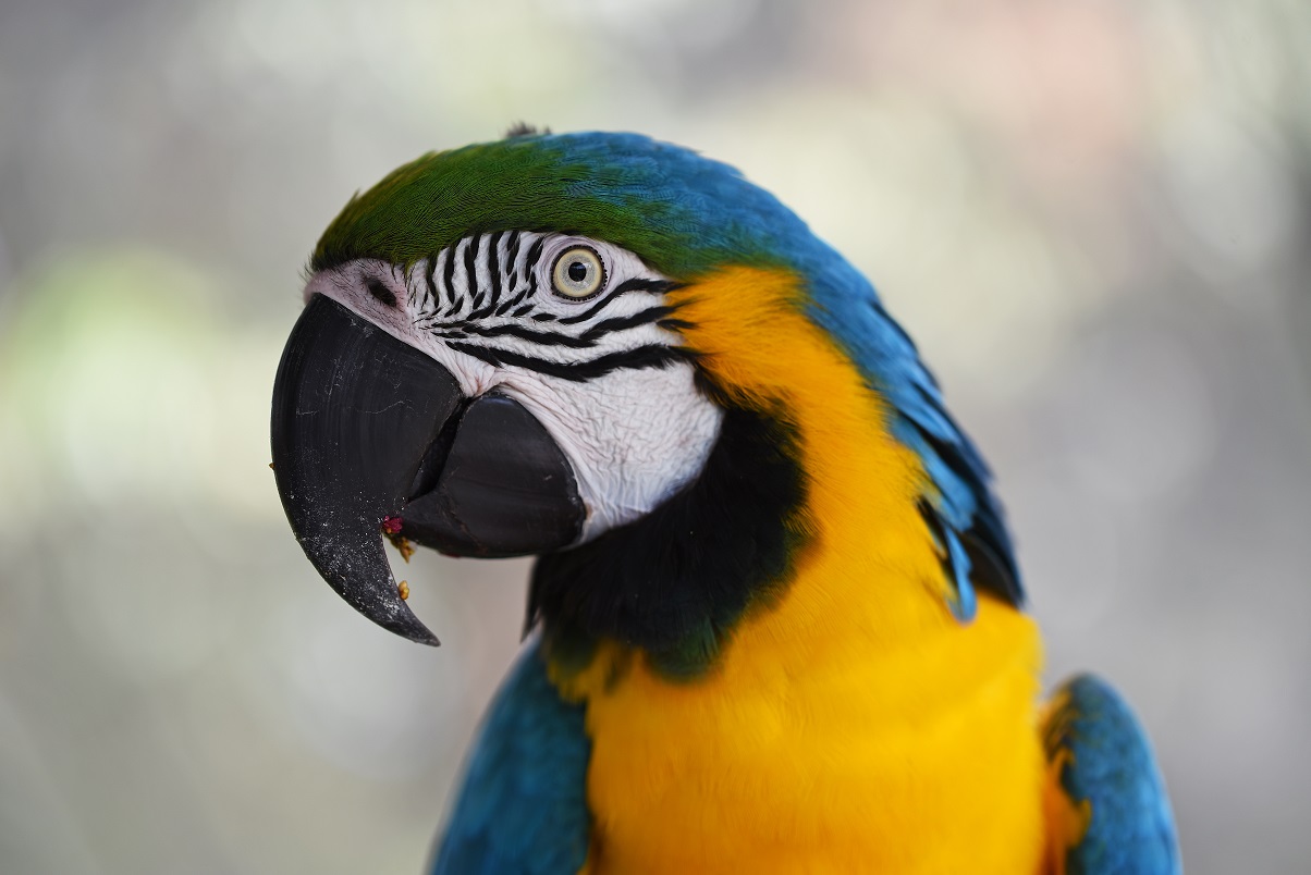 david-clode-0lwa8Dprrzs-unsplash (1)