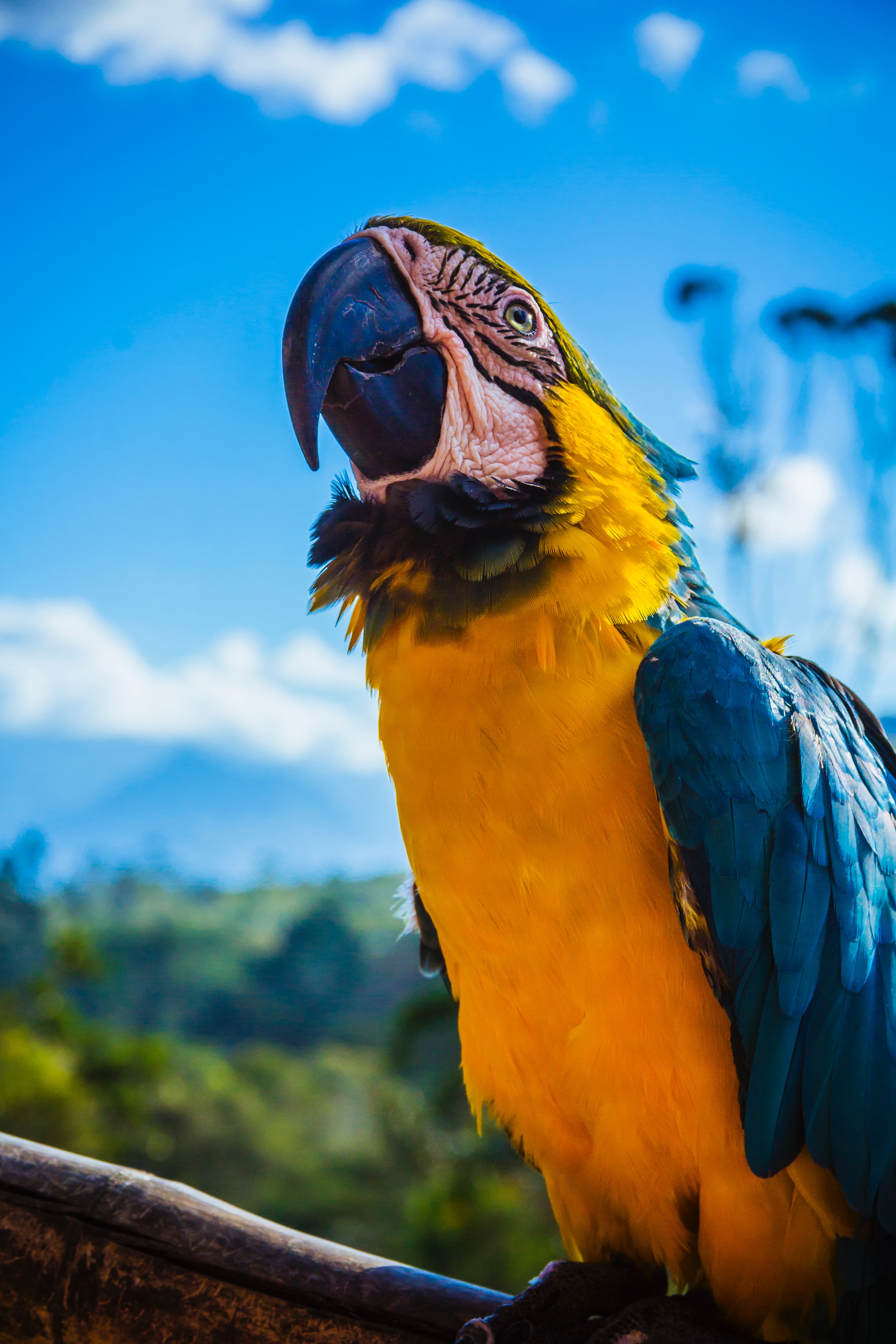 camilo-ayala-V9VDd-2s3aE-unsplash