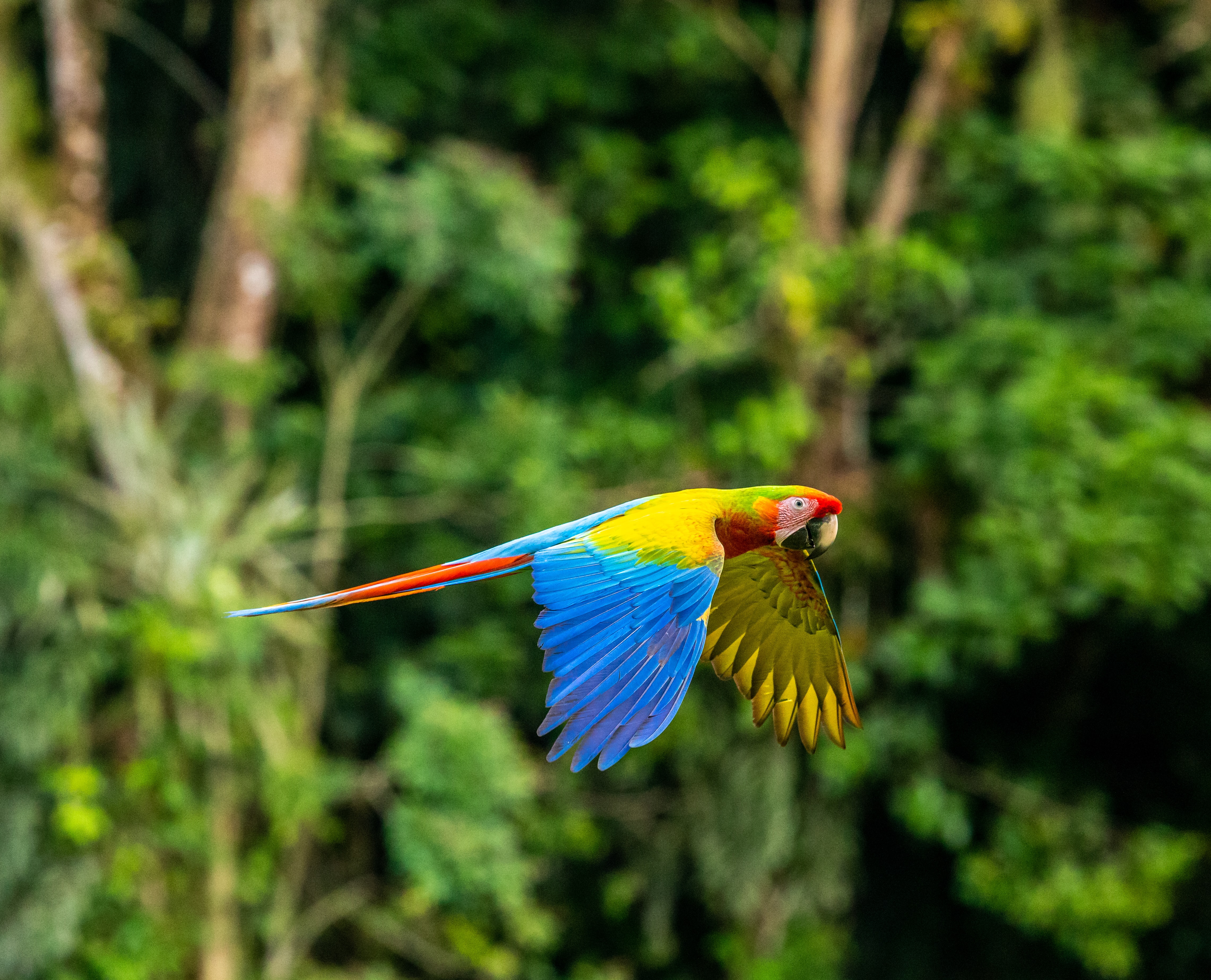 zdenek-machacek-46tBp3bP8LQ-unsplash